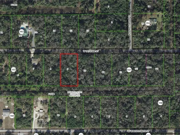 12064 W Deodar St, Crystal River, FL 34428