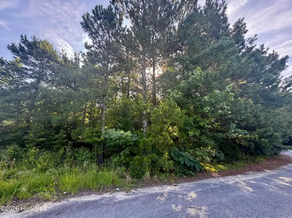 285 Dodge Point Dr Lot 18, Pinetops, NC 27864
