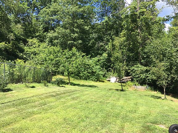 Peach, pear and apple trees