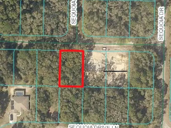 0 Sequoia Drive Pl Lot 18, Ocklawaha, FL 32179