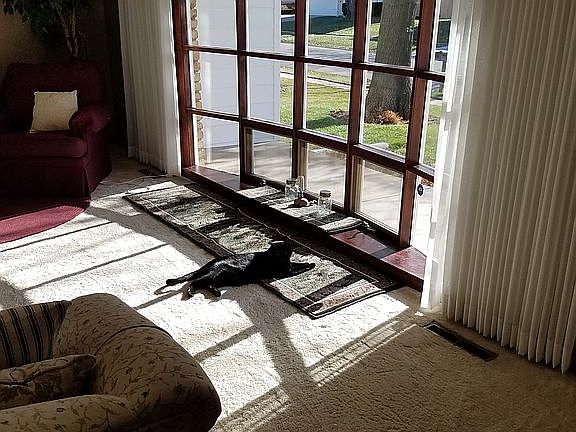 Sun thru formal living room