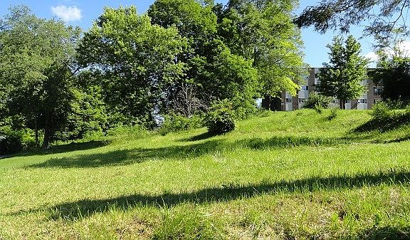 2nd image of 175 Palmer Ave