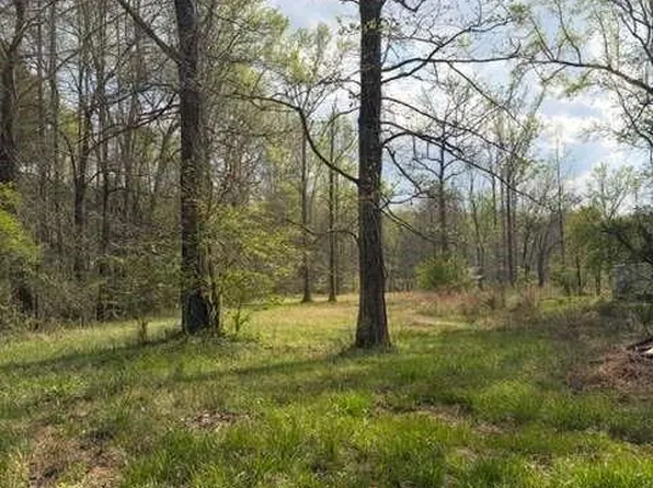 54 Coppermine Rd, Buchanan, GA 30113