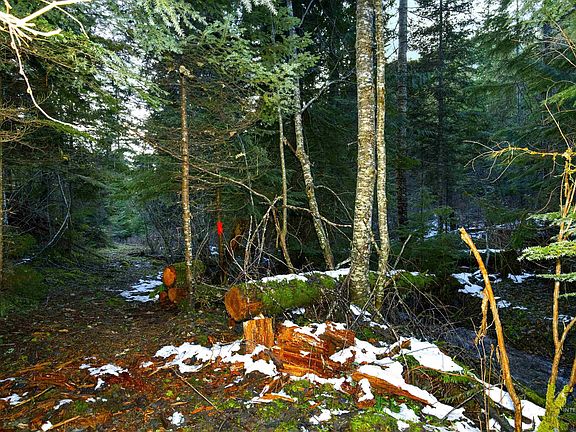 4th image of Nka Philips Draw Rd