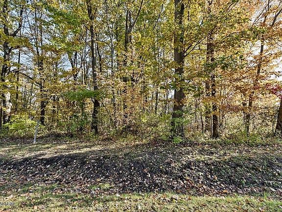 5th image of 17669 Summerhill Ln