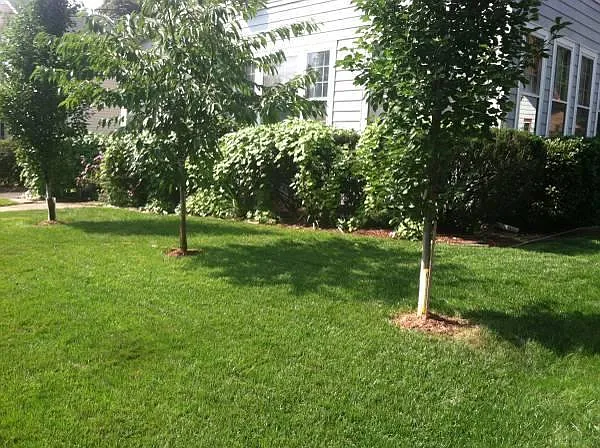 6 bed, 4000 sqft, $525 — Photo 3