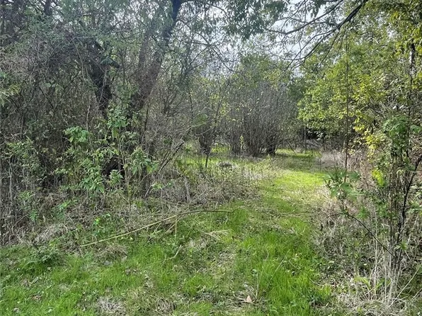 Bowie, Thornton, TX 76687