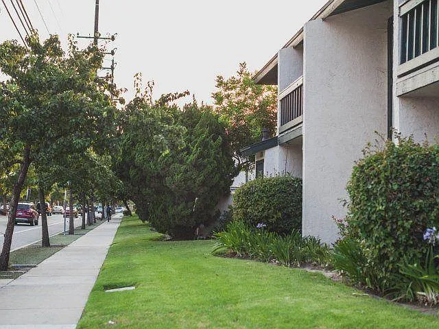 Del Ciervo Apartments — Photo 15
