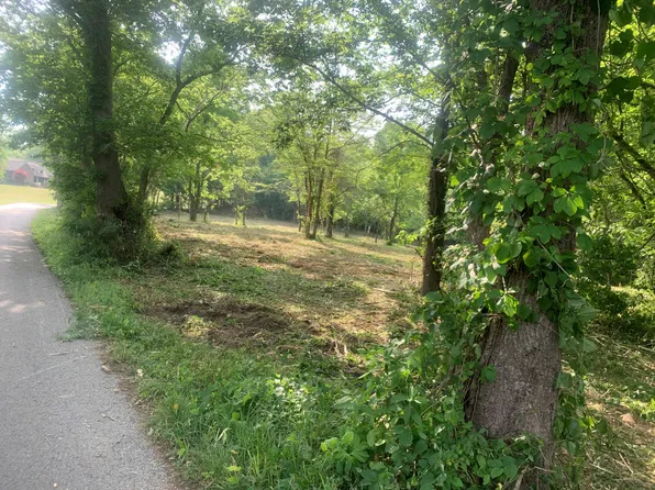 64.8 Turner Ridge Rd, Falmouth, KY 41040