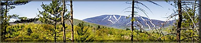 4th image of 1 NYS RT 8