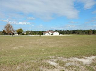 18227 Great Blue Heron Dr, Groveland, FL 34736