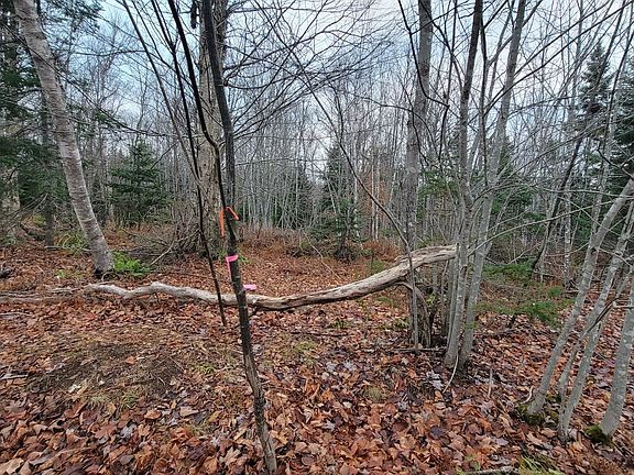 4th image of 125 Cumberland Line Rd