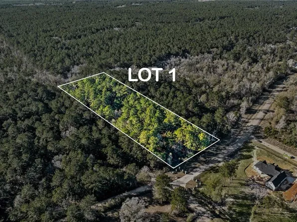 12505 Goldentop Dr, Covington, LA 70433