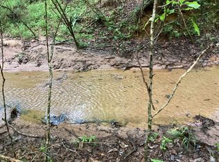 20 Heath River Falls Rd, Andalusia, AL 36421