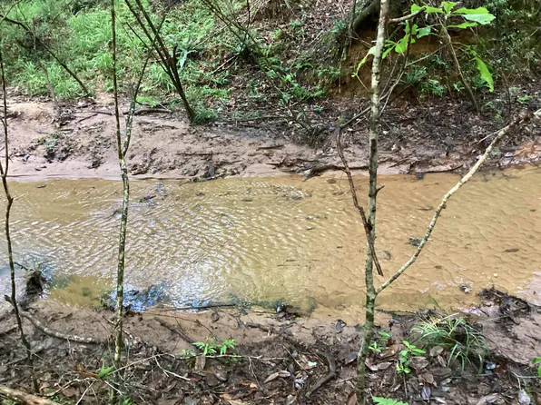 20 Heath River Falls Rd, Andalusia, AL 36421