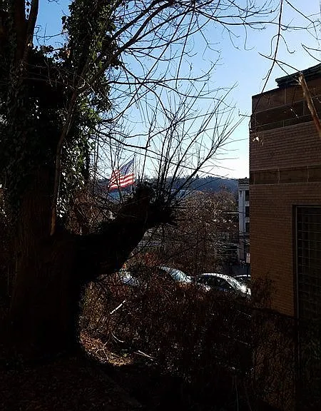 282 Jackson St — Photo 6