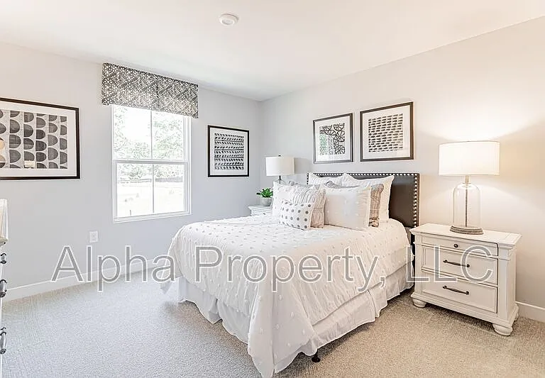 505 Olivia Springs Dr — Photo 13