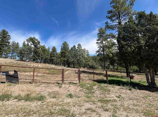 292 Southern Rd, Pagosa Springs, CO 81147