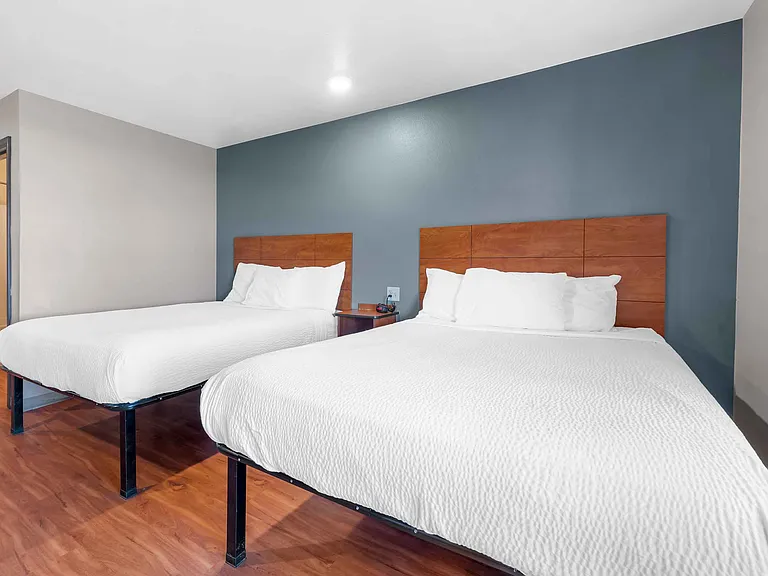 Studio Suite - 2 Queen Beds