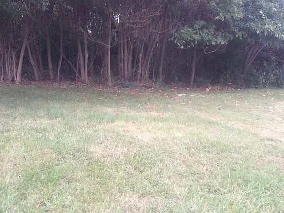Lot is Wooded