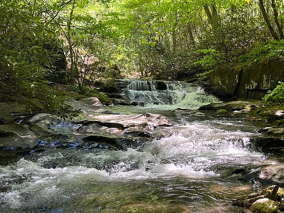5th image of Darnell Creek Rd