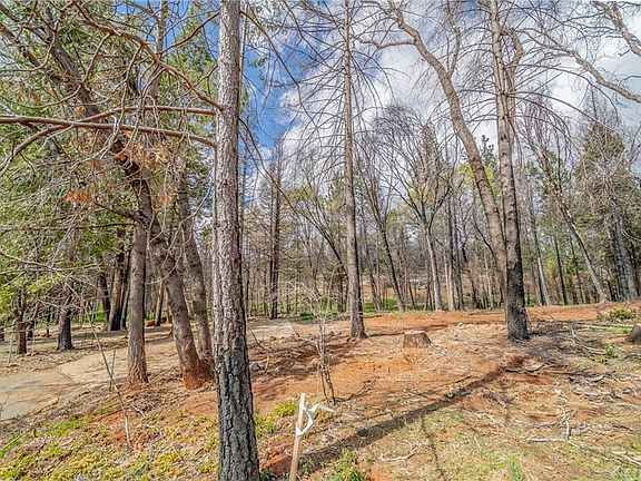 4th image of 13642 Layton Ct