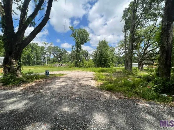 11391 Old Pecan Ln, Gonzales, LA 70737