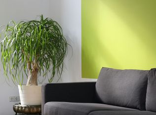 Fiji Lofts, Dallas, TX 75207