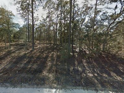 0 SE 21st Pl #1, Morriston, FL, 32668