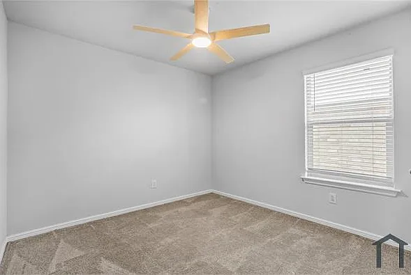 424 Amory St — Photo 23