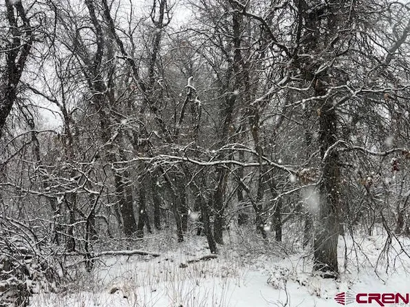 23 Cottonwood Drive, Pagosa Springs, CO 81147