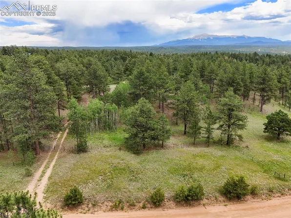 4202 Wildhorn Rd, Florissant, CO 80816