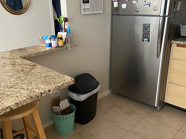 3550 N Lake Shore Dr #423 — Photo 9