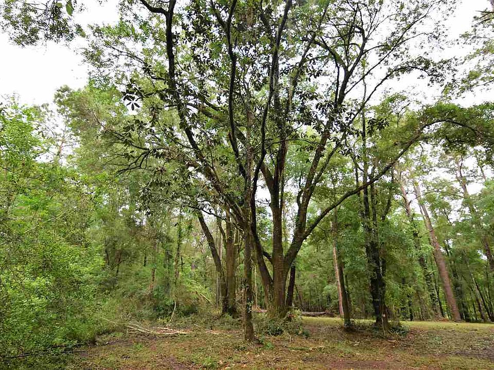 6943 Proctor Rd, Tallahassee, FL 32309 Zillow