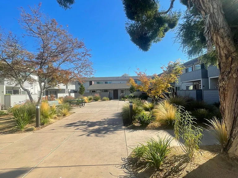 The Orchard Apartments — Photo 19