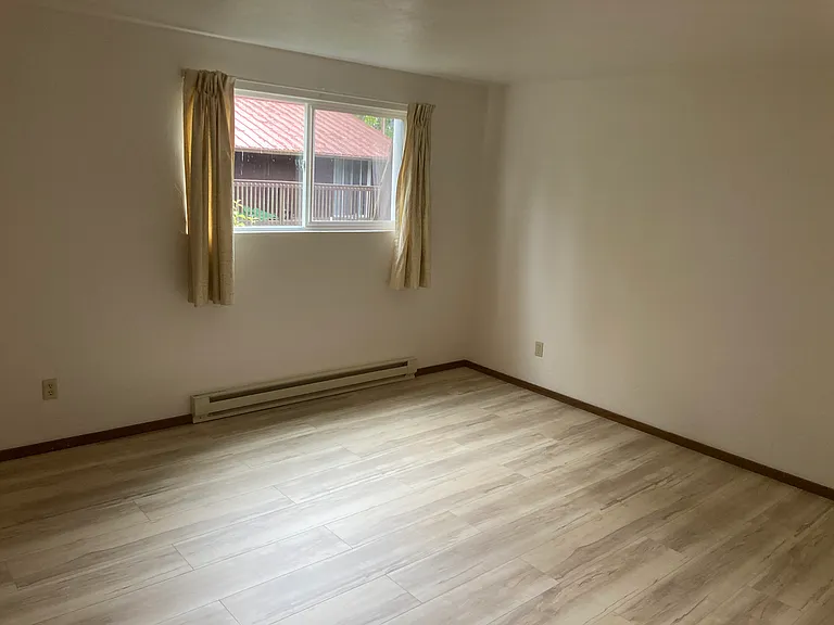 2nd bedroom, also large, with new LVP flooring