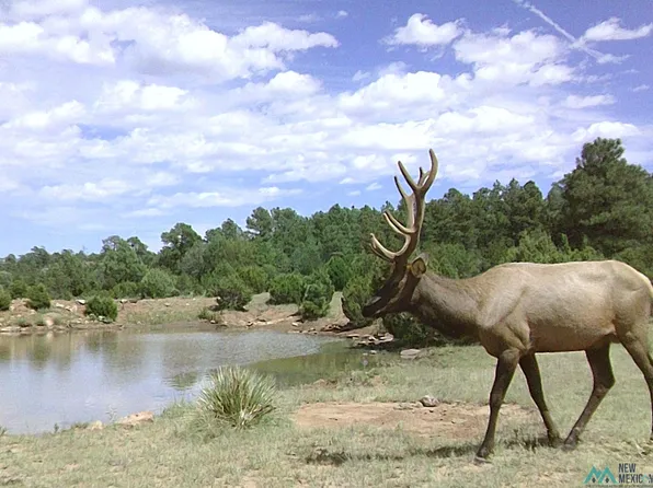 Tbd 2 Crescent Rd #51, Las Vegas, NM 87701