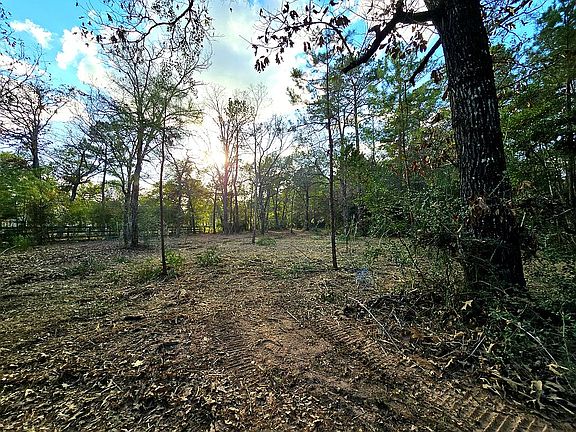 5th image of 28046 Crossway Oaks