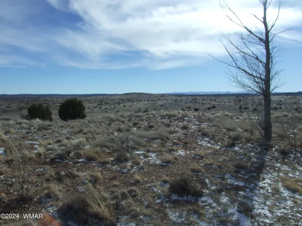 40 Peach Court At Taylor, Taylor, AZ 85939