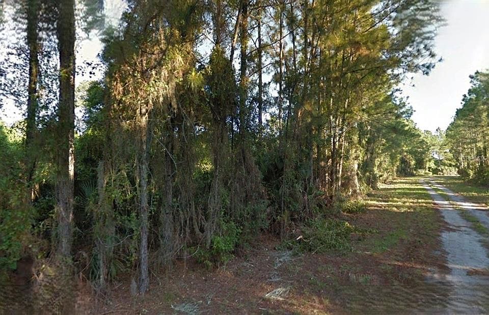 2nd image of Lutz Rd #10