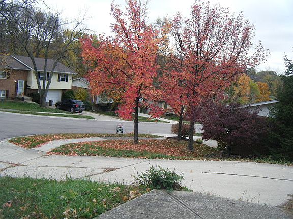 2nd image of 849 Stutely Pl
