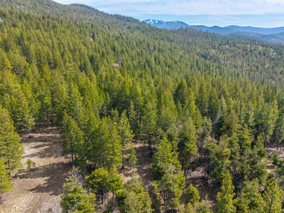 2520 Haywire Gulch, Kalispell, MT, 59901