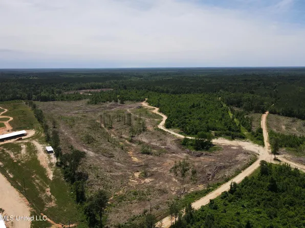 Off Of Co Rd #337, Heidelberg, MS 39439