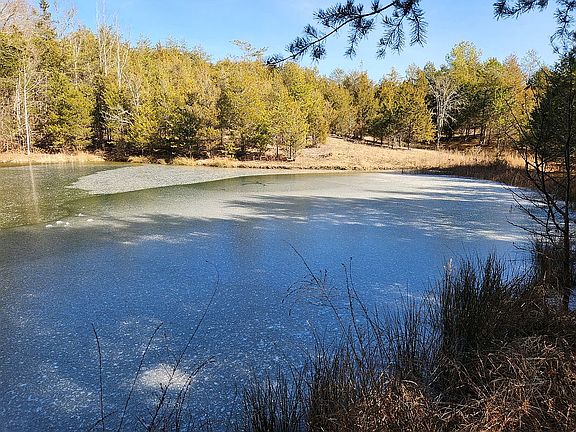 5th image of 756 Speedwell Rd