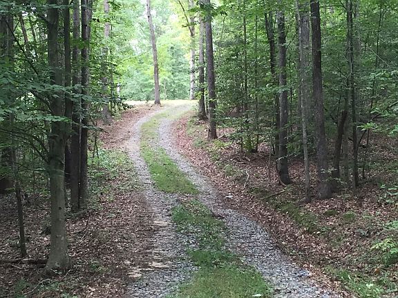 View from creek to homesite