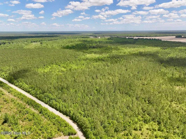 0 Guinea Mill 530 Road, Ernul, NC 28527