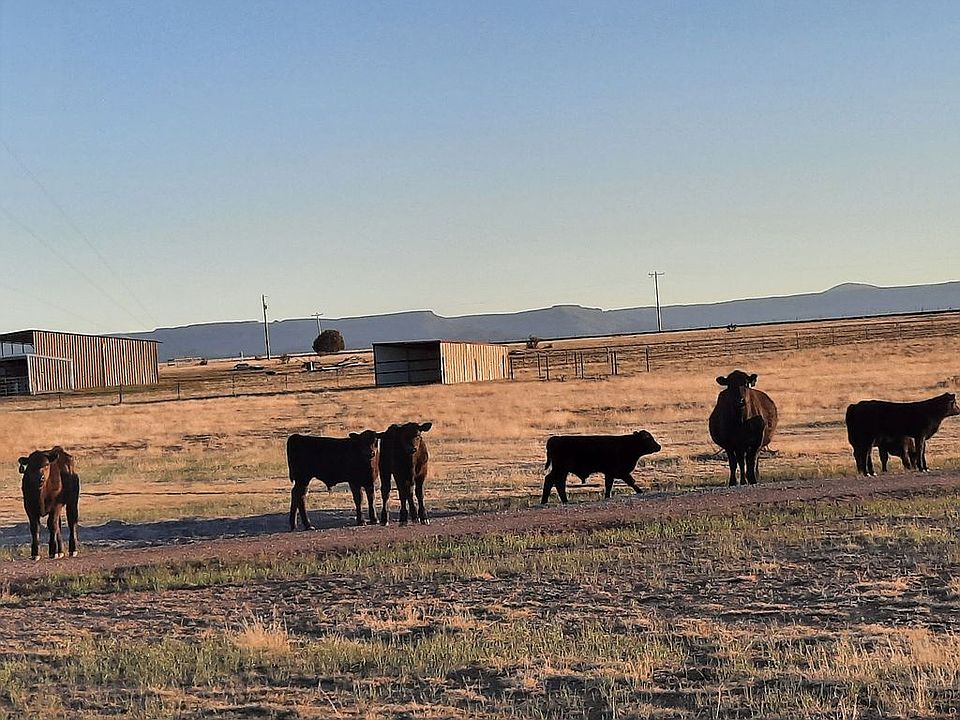 1st image of 10500 State Highway 389
