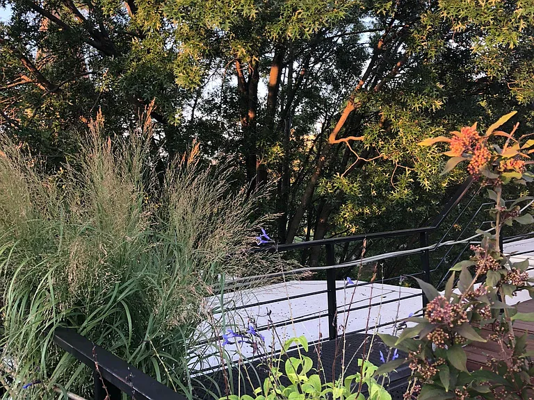 butterfly-sustaining roof garden