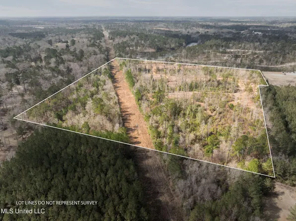 3608/ACRE S Placid Dr, Sumrall, MS 39482