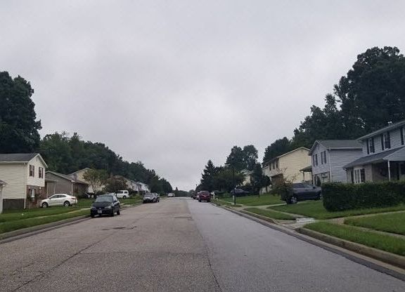 5th image of 1329 Lincoln Woods Dr